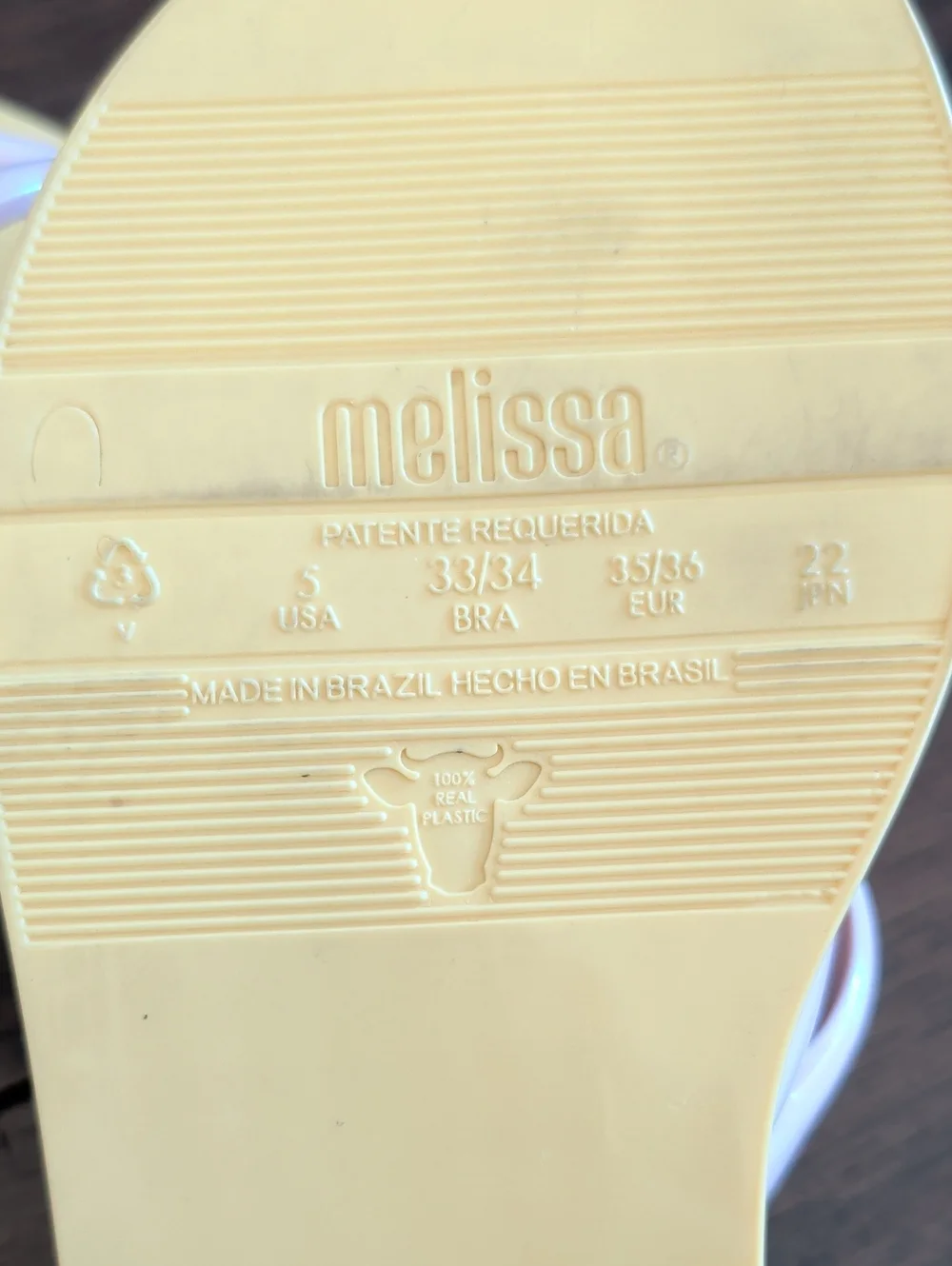 Melissa / Jason Wu Flip Flop Sandals